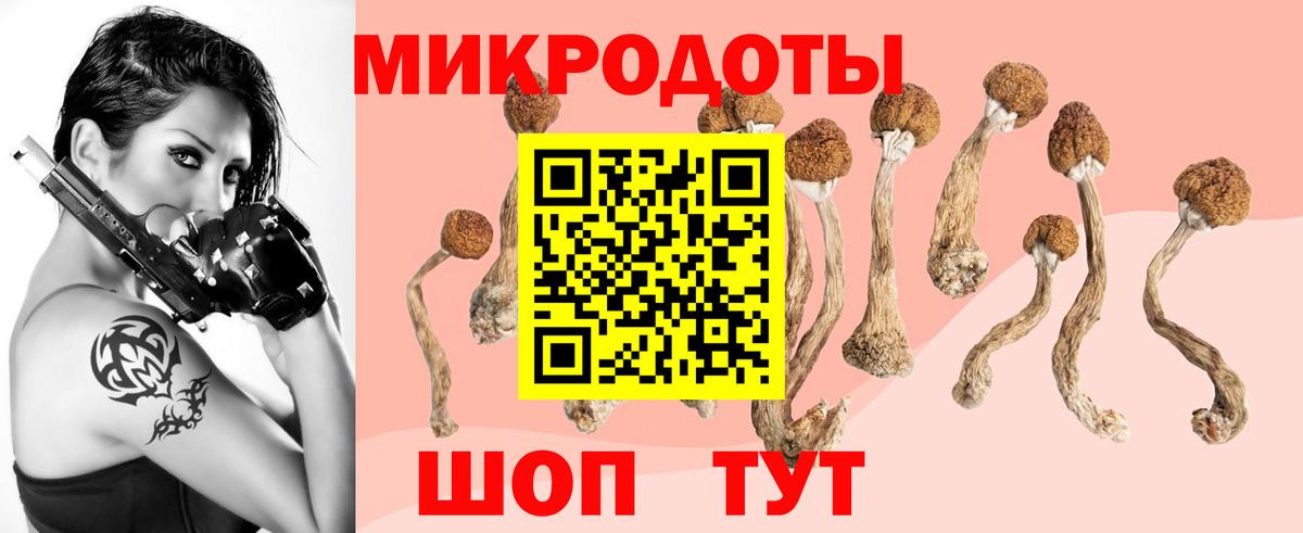 закладки  Галлюциногенные грибы мухоморы  Егорьевск  Вход с VPN  Галлюциногенные грибы Psilocybe 